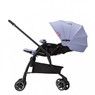 Прогулочная коляска Aprica Luxuna Comfort