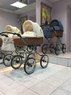 Коляска 2 в 1 Maxima Willow