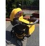 Коляска 2 в 1 Babyactive Shell-Eko