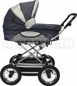 Коляска 2 в 1 Maxima Elite