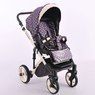 Коляска 2 в 1 Lonex Comfort