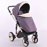 Коляска 2 в 1 Lonex Comfort