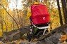 Трехколесная коляска 2 в 1 EasyWalker Sky