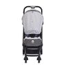Прогулочная коляска Easywalker buggy XS