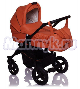Коляска 2 в 1 Lonex Speedy Ecco