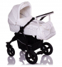 Коляска 2 в 1 Lonex Speedy Ecco
