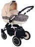 Коляска 2 в 1 Lonex Speedy V Light Velure