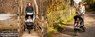 Прогулочная коляска Mountain Buggy Terrain 2016 Прогулочная коляска Mountain Buggy Terrain 2016