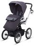 Коляска 3 в 1 Inglesina Quad на шасси Quad XT