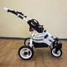 Коляска 2 в 1 Reindeer City Wiklina