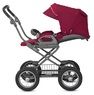 Коляска 2 в 1 Inglesina Sofia Duo на шасси Ergobike Slate
