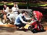 Прогулочная коляска-трансформер Valco Baby Zee Spark